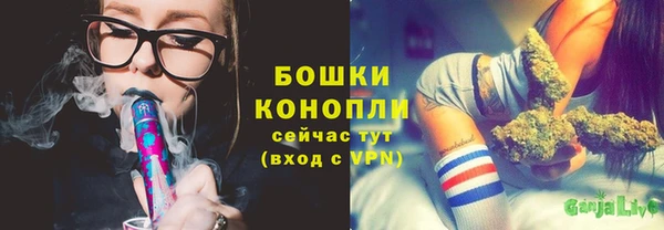 spice Алексеевка