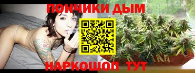 крисы Лесосибирск