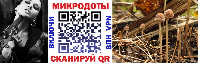 Псилоцибиновые грибы прущие грибы  где купить наркотик  мега ссылка  Домодедово 