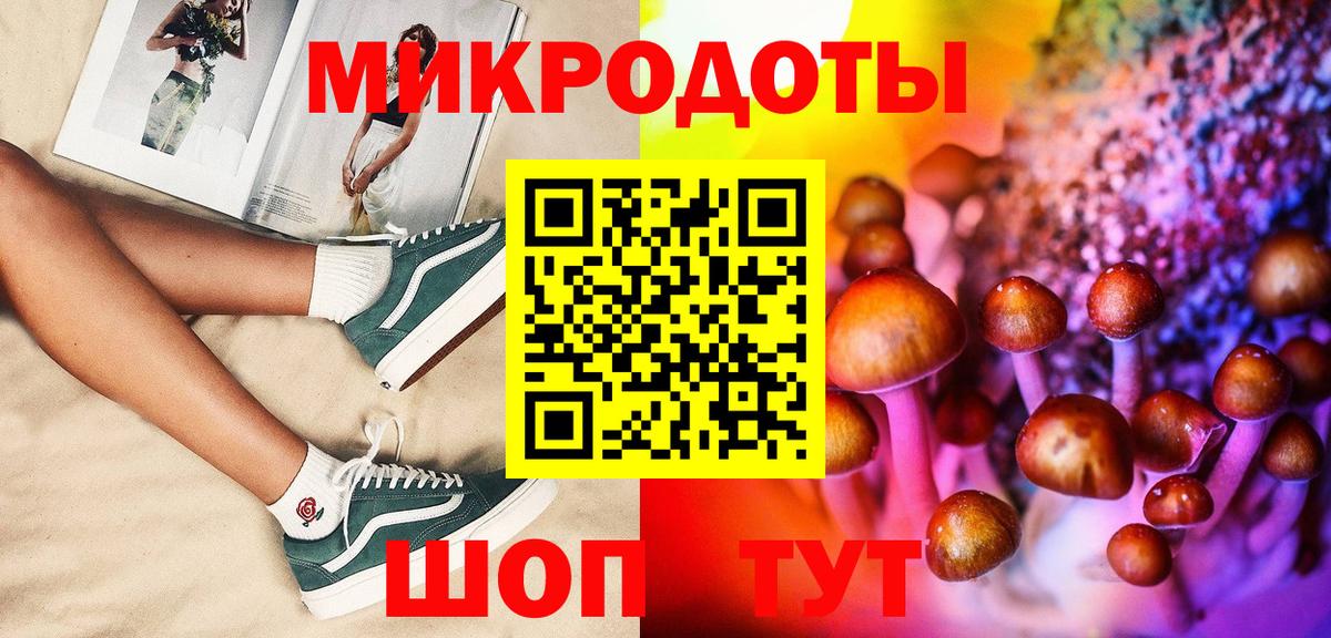 Галлюциногенные грибы Psilocybe Домодедово