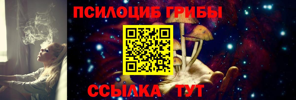 Домодедово  Галлюциногенные грибы MAGIC MUSHROOMS  Псилоцибиновые грибы ЛСД  Вход с VPN 